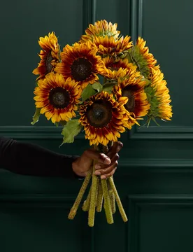 Speciality Sunflower Abundance Bouquet - M&S Flower Market - FashionsVida