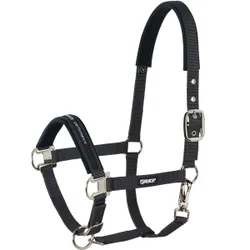 Halfter PIN BUCKLE Basics, black V