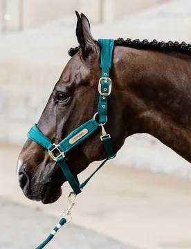 Halfter VELVET smaragd Cob - Kentucky Horsewear - FashionsVida