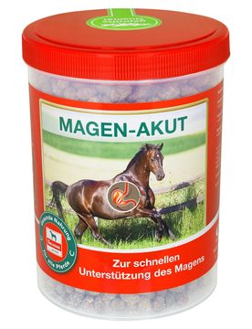 Salvana Magen-Akut 800g