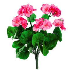 Walzvital Steck-Geranienbusch pink