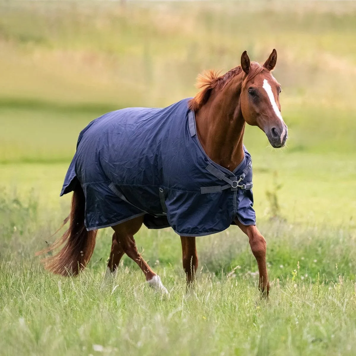 Outdoordecke FLEXIBLE PRO 50 navy (grau) 115 - Busse - FashionsVida