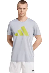 Run it camiseta técnica manga corta hombre Gris (S)