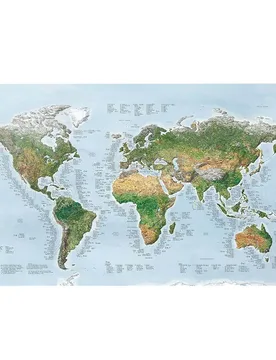 Mappa Surftrip Green Edition Best Surf Beaches Of The World Green Edition - Awesome Maps - FashionsVida