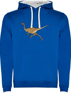 Felpa Con Cappuccio Dino Run Two-colour Royal Blue / White XL