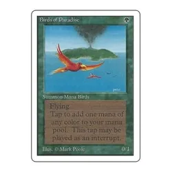 Birds of Paradise Unlimited