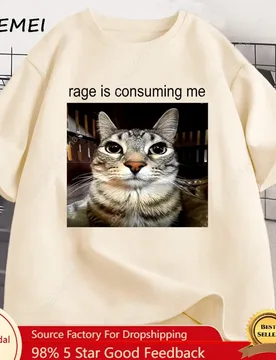 Rage Is Consuming Me Silly Staring Cat Meme Tee Shirt Casual Cotton Short Sleeve T-shirts Men Women Cat Lover T Shirt Oversized - Aliexpress - FashionsVida