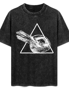 The Rabbit-Duck Illusion - Philosophy Wittgenstein Design T-Shirt Non-Shrink Basic Cotton T-Shirt - Aliexpress - FashionsVida