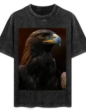 Golden Eagle T-Shirt Simple Trendy Casual T-Shirt - Aliexpress - FashionsVida