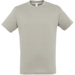 Mens Regent Short Sleeve T-Shirt (Light Grey) Cotton - Size Small