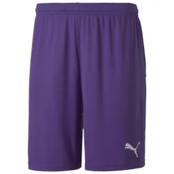 Teamgoal 23 Knit Mens Purple Shorts - Size Large