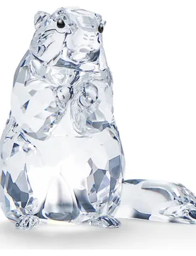 SCS Marmotta (Speciale eventi 2020) OS - Swarovski - FashionsVida