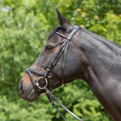 Trensenzaum Ultrasoft Tara, braun Warmblut