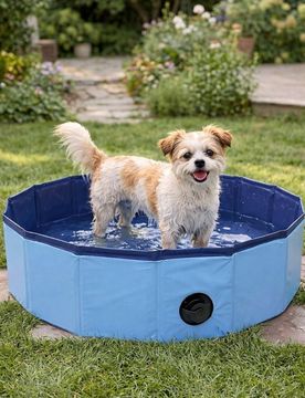 Sinsay - Piscina per animali - blu