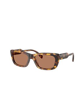 Gafas de sol B12S/56 marrón