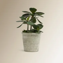 Planta artificial hojas