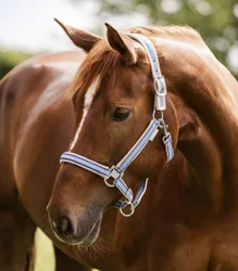 Halfter ATHLETIC pastellblau Pony