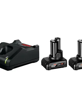 Professional Chargeur Et Batterie 2x 6.0ah Gal 12v-40 Black One Size