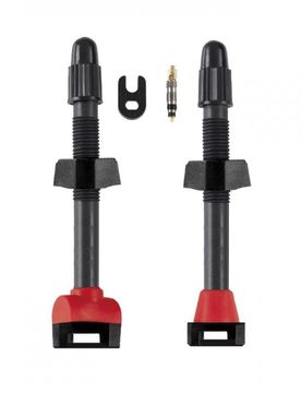 Coppia valvole tubeless in carbonio ARIA per ANACONDA 65 mm