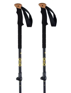 Bâtons All Mountain Black 115-140 cm Homme