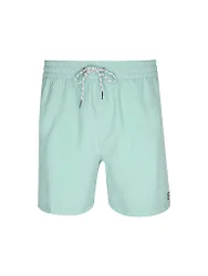 Pantaloncini da bagno da uomo All Day Layback 16 verde chiaro S