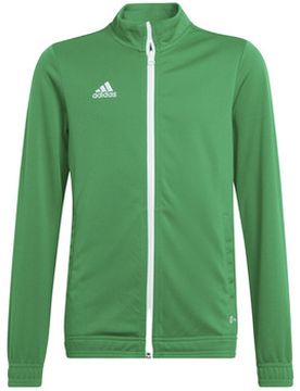 Trainingsjacken Veste De Survêtement Entrada 22 Vert/blanc Einheitsgrösse Male
