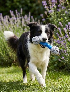 Giocattolo per cani - grigio chiaro