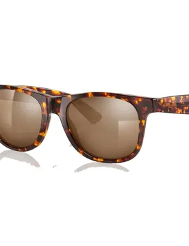Occhiali Da Sole Temple Brown