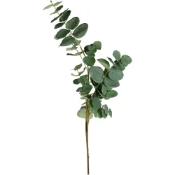 Rama artificial Eucalipto