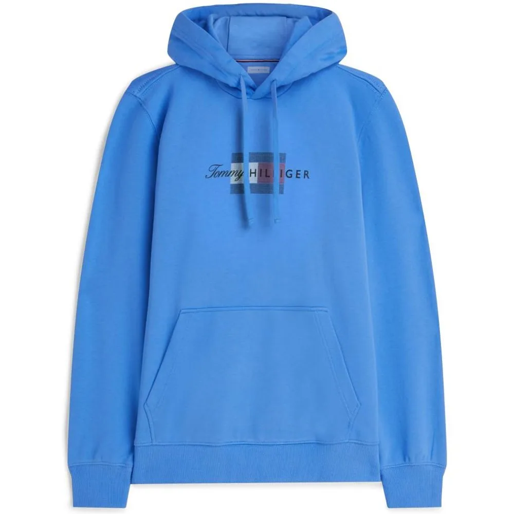 Sudadera de hombre lisa con capucha tallas grandes - Tommy Hilfiger - FashionsVida