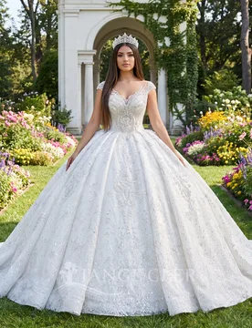 Wedding Dresses 2026 Elegant Wedding Customzied Lace Organza Court Train Sequins Robe Vestido De Novia Lace Up Back - Aliexpress - FashionsVida
