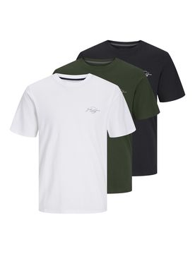Camiseta 'JJFerris' / /