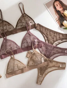 Set de 6 piezas de lencería con sujetador triangular sin aros, de malla jacquard transparente con diseño de corazones, para el Día de San Valentín - Shein - FashionsVida
