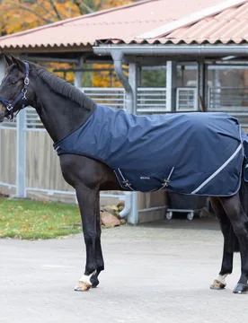 Bewegungsdecke RAIN COMFORT 100 navy 155 - Busse - FashionsVida