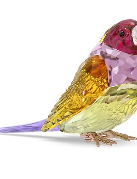 Idyllia SCS Diamante di Gould, Grande OS