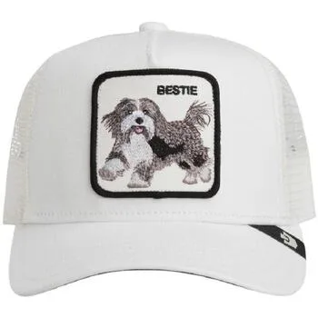 Schirmmütze 201-0094 Dust Einheitsgrösse Male - Goorin Bros - FashionsVida