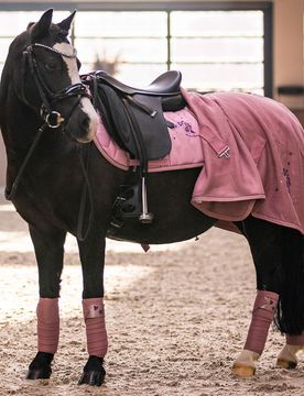 Fleecedecke IRH COSMIC SPARKLE classy pink 105