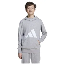 Felpa Con Cappuccio Essentials Medium Heather Grey / White 13-14 Anni