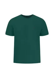 T-shirt, basic, single jersey male