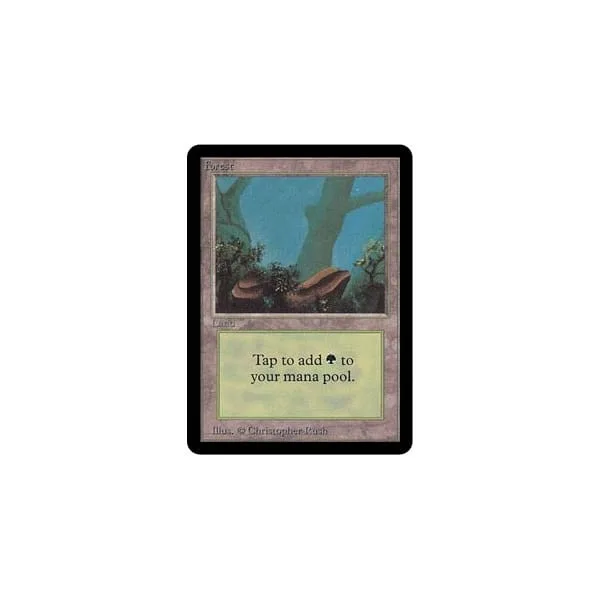 Forest (#2) Alpha - Magic: The Gathering - FashionsVida