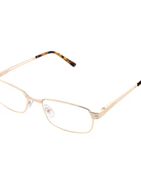 Lesebrillen "elegant" + Gratis Etui gold - Michael Pachleitner Group - FashionsVida