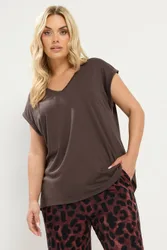 Women's V-Neck Basic T-Shirt in Chocolate Size: 14 - Chocolate - Size: 14