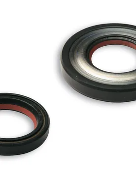 Serie Paraolio In Fkm / Ptfe Per Albero Motore Per Vespa Ets-Pk Xl 125 Cc Vespa Ets 125 2t - Malossi - FashionsVida