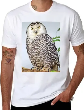 Snowy Owl - Bubo scandiacus - The Wizard Owl T-Shirt t shirt man casual anime t shirts for man T-Shirt - Aliexpress - FashionsVida