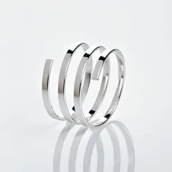 Fett-Reduzier-Ring silberfarben