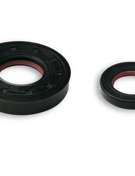 Serie Paraolio In Fkm / Ptfe Per Albero Motore Per Scooter Minarelli-Yamaha Quad 2t 50cc Yamaha Jog Z 50 2t - Malossi - FashionsVida