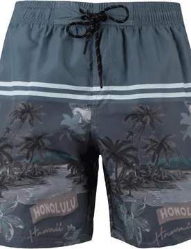 Baador palms bañador playa hombre Gris - Losan - FashionsVida