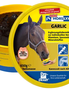 HORSLYX Minileckschale - GARLIC - Derby - FashionsVida