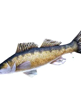 Gaby Il Cuscino Gigante Zander