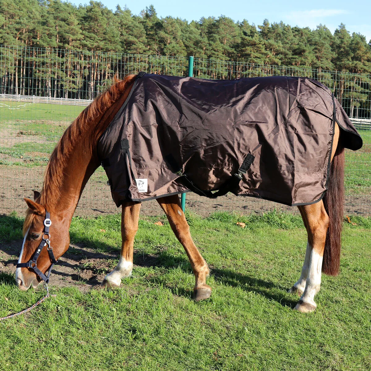 Manski Stall- & Transportdecke ungefüttert - darkbrown 85 - Reitsport Manski - FashionsVida